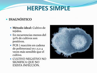 HERPES SIMPLE
 DIAGNÓSTICO

   Método ideal: Cultivo de
    tejidos.
   En recurrencias menos del
    50% de cultivos son
    positivos.
   PCR ( reacción en cadena
    de polimerasa) es 1.5 a 4
    veces más sensible que el
    cultivo.
   CULTIVO NEGATIVO NO
    SIGNIFICA QUE NO
    EXISTA INFECCIÓN.
 