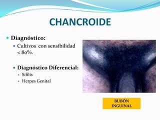 CHANCROIDE
 Diagnóstico:
   Cultivos con sensibilidad
    < 80%.

   Diagnóstico Diferencial:
     Sífilis

     Herpes Genital




                                 BUBÓN
                                INGUINAL
 