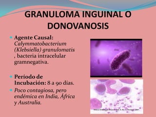 GRANULOMA INGUINAL O
          DONOVANOSIS
 Agente Causal:
 Calymmatobacterium
 (Klebsiella) granulomatis
 , bacteria intracelular
 gramnegativa.

 Período de
  Incubación: 8 a 90 días.
 Poco contagiosa, pero
  endémica en India, África
  y Australia.
 