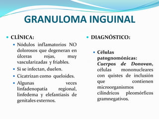 GRANULOMA INGUINAL
 CLÍNICA:                             DIAGNÓSTICO:
    Nódulos inflamatorios NO
     dolorosos que degeneran en          Células
     úlceras       rojas,      muy       patognomónicas:
     vascularizadas y friables.          Cuerpos de Donovan,
    Si se infectan, duelen.             células    mononucleares
    Cicatrizan como queloides.          con quistes de inclusión
    Algunas                  veces      que            contienen
     linfadenopatía       regional,      microorganismos
     linfedema y elefantiasis de         cilíndricos pleomórficos
     genitales externos.                 gramnegativos.
 