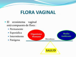 FLORA VAGINAL
 El  ecosistema vaginal
 está compuesto de flora :
   Permanente
   Esporádica                                Medio
                    Organismo
   Intermitente     Humano                  Ambiente
                                Microbiota
   Patógena



                                SALUD
 