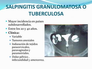 SALPINGITIS GRANULOMATOSA O
        TUBERCULOSA
 Mayor incidencia en países
  subdesarrollados.
 Entre los 20 y 40 años.
 Clínica:
    Variable
    Tumores anexiales
    Induración de tejidos
     paracervicales,
     paravaginales y
     parametriales.
    Dolor pélvico ,
     infecundidad y amenorrea.
 