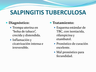 SALPINGITIS TUBERCULOSA
 Diagnóstico:                 Tratamiento:
   Trompa uterina en             Esquema estándar de
    “bolsa de tabaco”,             TBC, con isoniacida,
    crecida y distendida.          rifampicina y
   Inflamación y                  etambutol.
    cicatrización intensa e       Pronóstico de curación
    irreversible.                  excelente.
                                  Mal pronóstico para
                                   fecundidad.
 