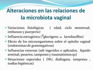 Alteraciones en las relaciones de
       la microbiota vaginal
 Variaciones fisiológicas      ( edad, ciclo menstrual,
    embarazo y puerperio)
   Influencia estrogénica ( glucógeno     lactobacillus)
   Efecto de los microorganismos sobre el epitelio vaginal
    (endotoxinas de gramnegativos)
   Influencias externas (atb ingeridos o aplicados, líquido
    seminal, pesarios, tampones y traumatismos qx)
   Situaciones especiales ( DIU, diafragma, tampones ,
    toallas higiénicas)
 
