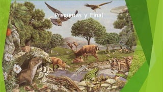 Preguntas y Final
 