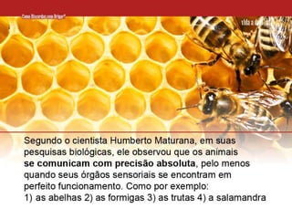 07 Como Discordar Sem Brigar