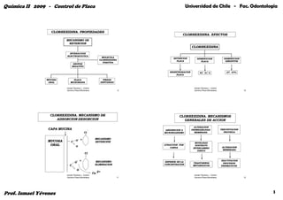 Química II 2009 - Control de Placa                                                             Universidad de Chile - Fac. Odontología




                  CLORHEXIDINA. PROPIEDADES
                                                                                           CLORHEXIDINA. EFECTOS
                          MECANISMO DE
                           RETENCION
                                                                                                   CLORHEXIDINA
                            INTERACCION
                          ELECTROSTATICA
                                                            MOLECULA
                                                                                     RETENCION         DISMINUCION                 DISMINUCION
                                                          CLORHEXIDINA
                                                                                       PLACA              PLACA                     GINGIVITIS
                                                            POSITIVA
                                 GRUPOS
                                NEGATIVO

                                                                                  DESINTEGRACION          45 - 61 %                  27 - 67%
                                                                                       PLACA

                MUCOSA          PLACA                           PIEZAS
                 ORAL        MICROBIANA                       DENTARIAS

                          Ismael Yévenes L. Control                                                  Ismael Yévenes L. Control
                          Químico Placa Microbiana                        9                          Químico Placa Microbiana                    10




                  CLORHEXIDINA. MECANISMO DE                                             CLORHEXIDINA. MECANISMOS
                     ADSORCION-
                     ADSORCION-DESORCION                                                   GENERALES DE ACCION

                                                                                                     ALTERACION
                 CAPA MUCINA                      .                             ABSORRCION A       PERMEABILIDAD                 PRECIPITACION
                                             Cl                                MICRORGANISMO         MEMBRANA                      PROTEICA


                                        +              MECANISMO
                 MUCOSA            O-
                              C                        RETENCIÓN                                     MOVILIDAD
                  ORAL             O
                                                                               ATRACCION POR          SUSTRATO
                                                                                   CARGA            INTERCAMBIO                   ALTERACION
                                                                                                       IONICO                      MEMBRANA
                                             Cl


                                  O
                                      - +              MECANISMO               DEPENDE DE LA
                                                                                                                                 INACTIVACION
                                                                                                    TRASTORNOS                     PROCESOS
                            C                          ELIMINACION             CONCENTRACION
                                                                                                    METABOLICOS                  ENZIMATICOS
                                    O
                                                      Ca 2+
                          Ismael Yévenes L. Control                                                  Ismael Yévenes L. Control
                          Químico Placa Microbiana                        11                         Químico Placa Microbiana                    12




Prof. Ismael Yévenes                                                                                                                                  3
 