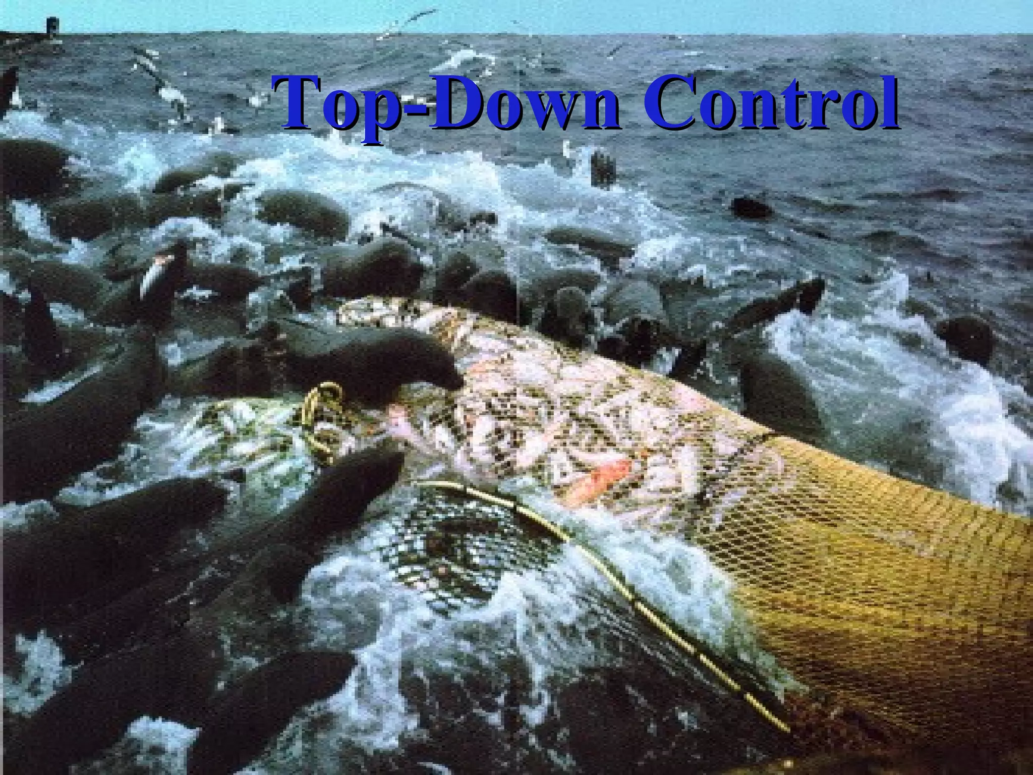 Top-Down ControlTop-Down Control
 