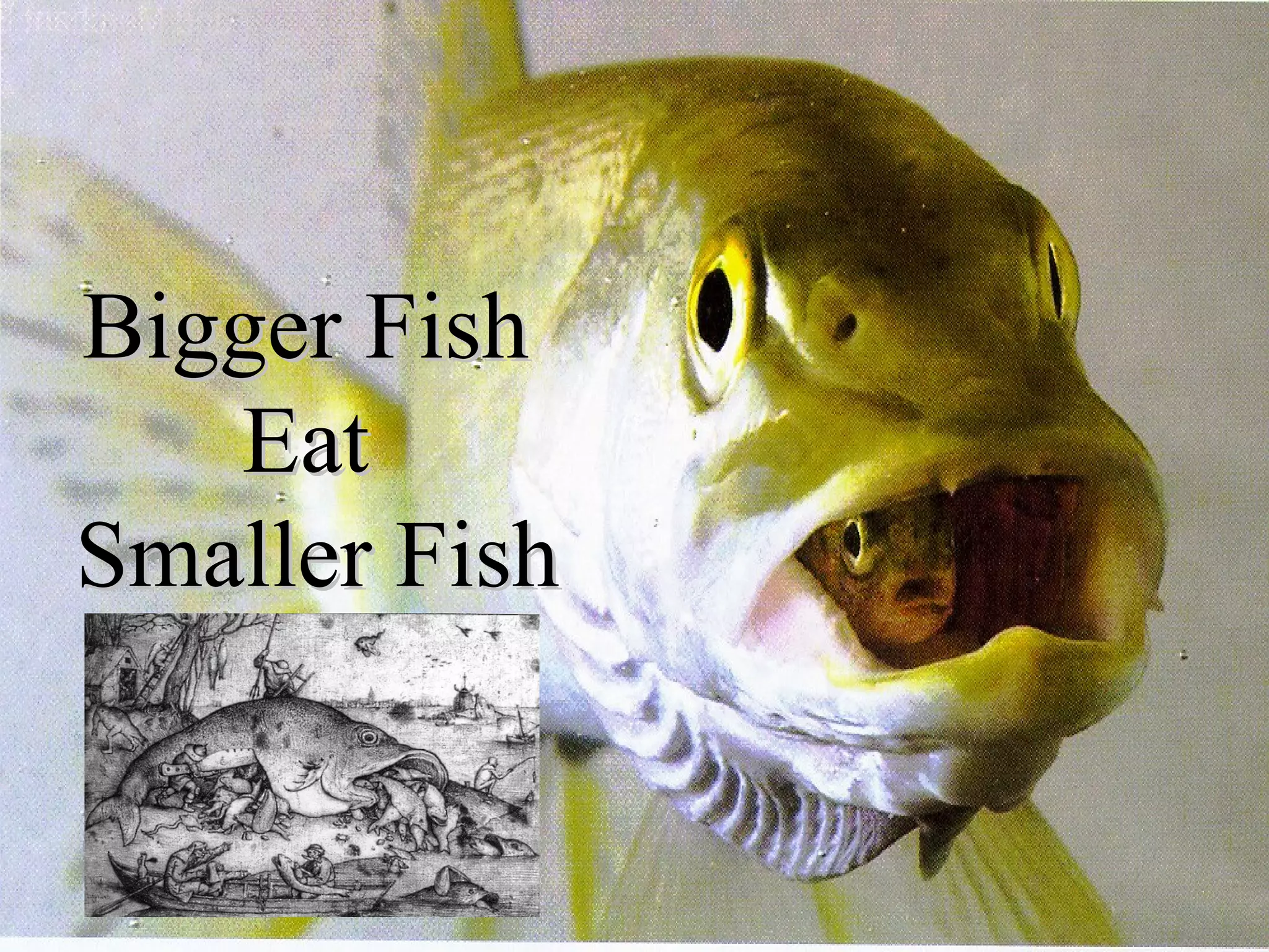 Bigger FishBigger Fish
EatEat
Smaller FishSmaller Fish
 