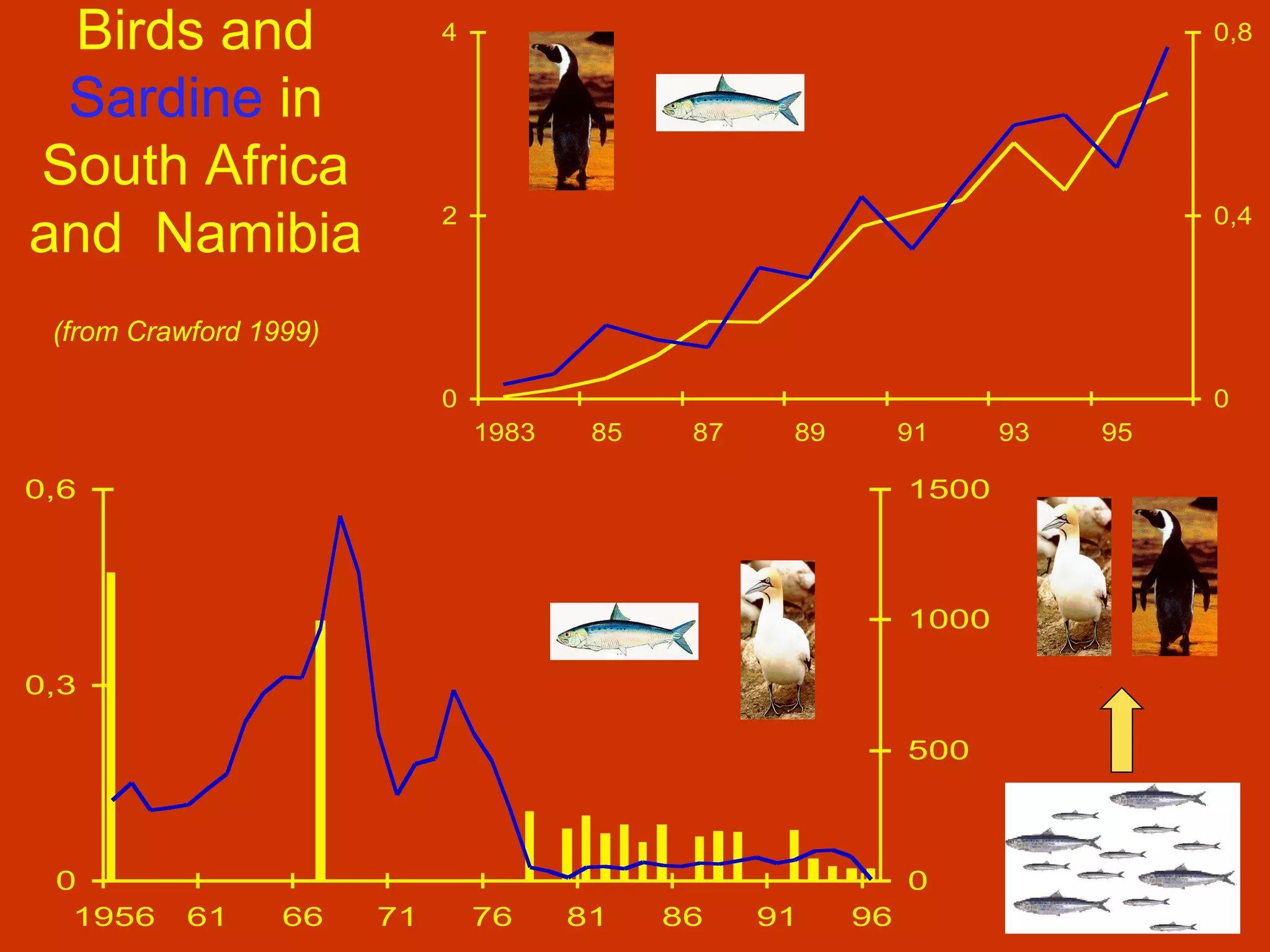 Birds and
Sardine in
South Africa
and Namibia
(from Crawford 1999)
0
2
4
1983 85 87 89 91 93 95
0
0,4
0,8
0
0,3
0,6
1956 61 66 71 76 81 86 91 96
0
500
1000
1500
 