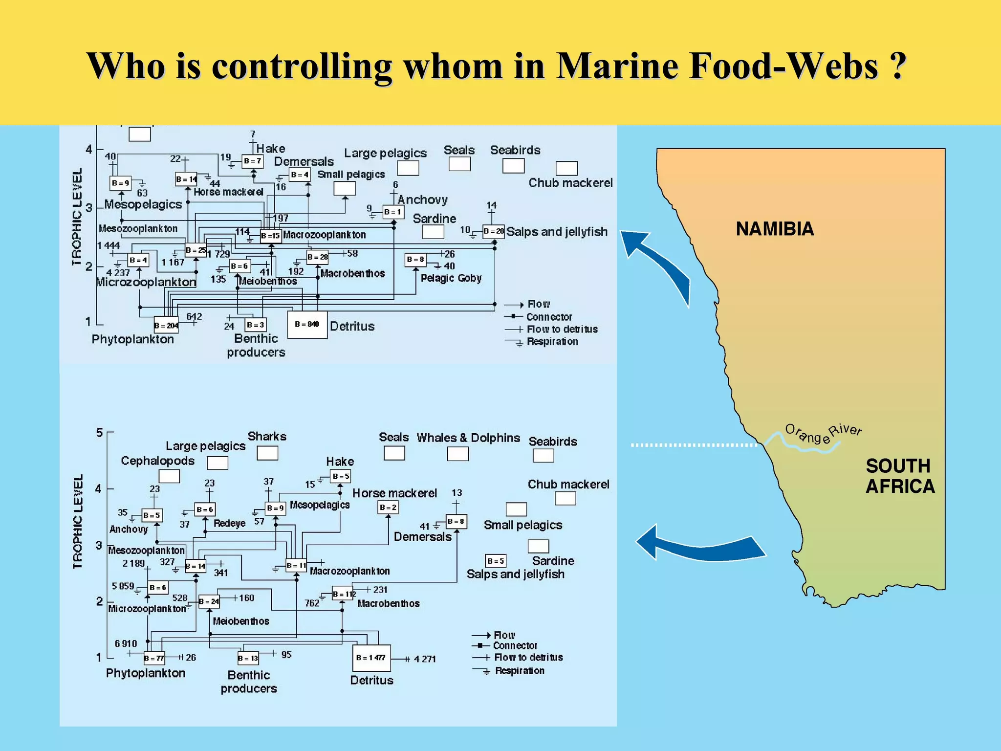 Who is controlling whom in Marine Food-Webs ?Who is controlling whom in Marine Food-Webs ?
 