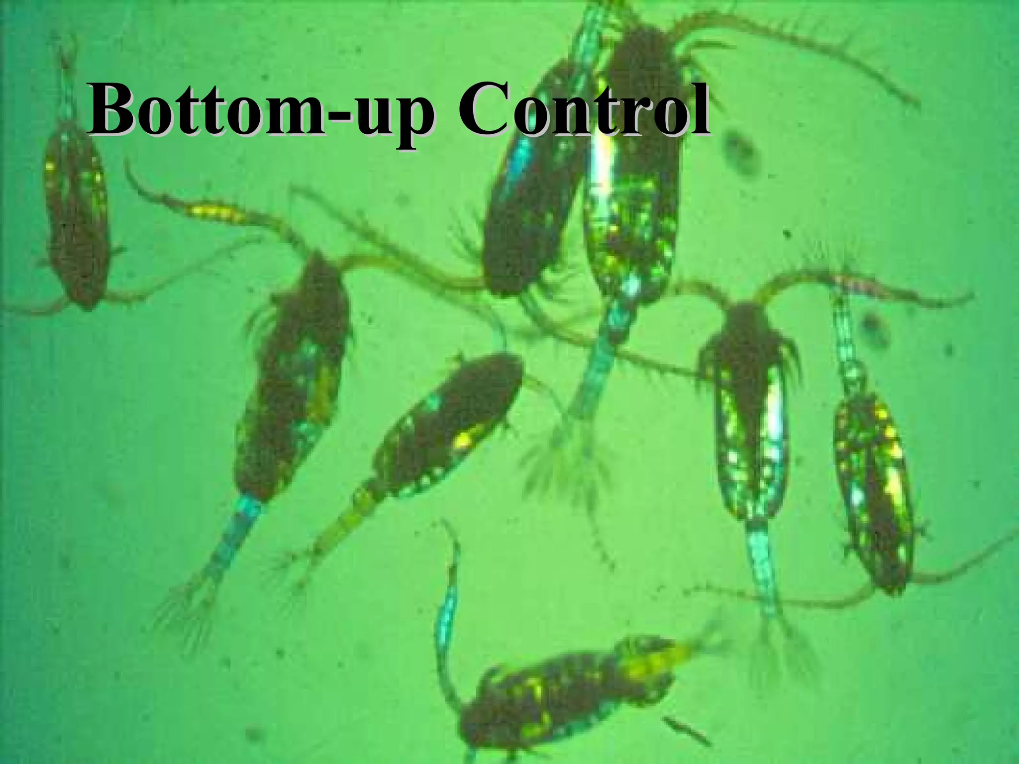 Bottom-up ControlBottom-up Control
 