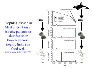 Trophic Cascade in
Alaska resulting in
inverse patterns in
abundance or
biomass across
trophic links in a
food web
(from Science, Estes et al. 1998)
 