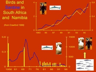 Birds and
Sardine in
South Africa
and Namibia
(from Crawford 1999)
0
2
4
1983 85 87 89 91 93 95
0
0,4
0,8
0
0,3
0,6
1956 61 66 71 76 81 86 91 96
0
500
1000
1500
 