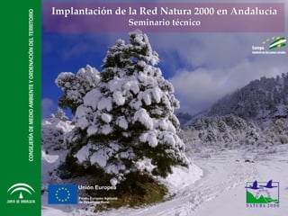 Implantación de la Red Natura 2000 en AndalucíaImplantación de la Red Natura 2000 en Andalucía
Seminario técnicoSeminario técnico
 