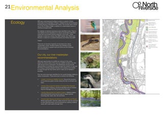 21
Ecology
Environmental Analysis
RPS was commissioned by Mace Limited on behalf of Derby
Cityscape Ltd toundertake a Phase 1 Habitat Survey and Ecological
Scoping Survey of NorthRiverside, Derby. The surveys were carried
out on the 7th March 2008, in addition to a desk-based review of
existing ecological data.
No habitats of national importance were identified onsite. There is
one habitat of local importance for nature conservation identified
onsite and one located directly adjacent to the south. ‘Urban
Habitats’ is listed as a Derby City LBAP habitat. And ‘Rivers and
Streams’ is listed as a Lowland Derbyshire and Derby City LBAP
habitat.
There are no records of species of importance for nature
conservation onsite. Suitable habitat was identified onsite
with the potential to support bats and birds and the following
recommendations.
Our city, our river masterplan
recommendations
Although opportunities for wildlife are reduced in the urban
areas, the current value of the river as a wildlife corridor in its own
right should not be overlooked. The Masterplan would provide
opportunities to increase this value through the creation of new and
the linking of existing habitats thereby encouraging more wildlife
to travel through the City Centre and to make use of habitats it
provides.
Four key aims have been identified for the overall strategy relating to
nature conservation. These aims look to achieve the following:
•	 Create a Continuous Wildlife Corridor; Ensure the provision
of a continuous green corridor along the river on at least one
bank.
•	 Actively Discourage the Spread of Invasive Plant Species;
Invasive plant ‘hotspots’ would be identified and an Invasive
Species Management Plan produced for the area.
•	 Identify Opportunities for Habitat Creation; Habitat creation
and enhancement would be focused on target species
including otter, water vole, fish and birds.
•	 Provide Open Spaces that Work for both Wildlife and People.
Where appropriate ‘informal’ paths would be used as opposed
to hard standing which can be achieved by creating meadow
areas with mown paths through them.
 