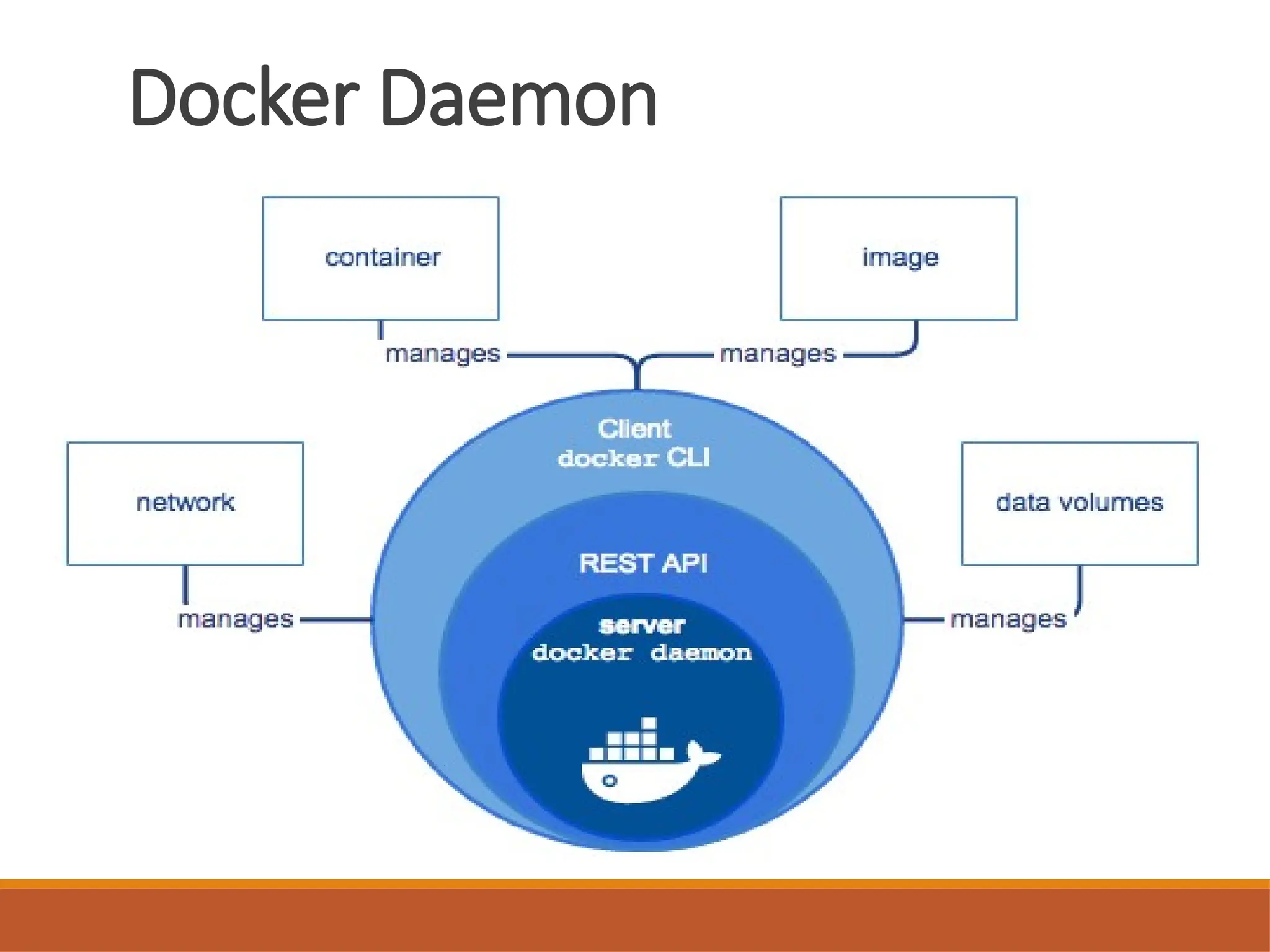 Docker Daemon
 