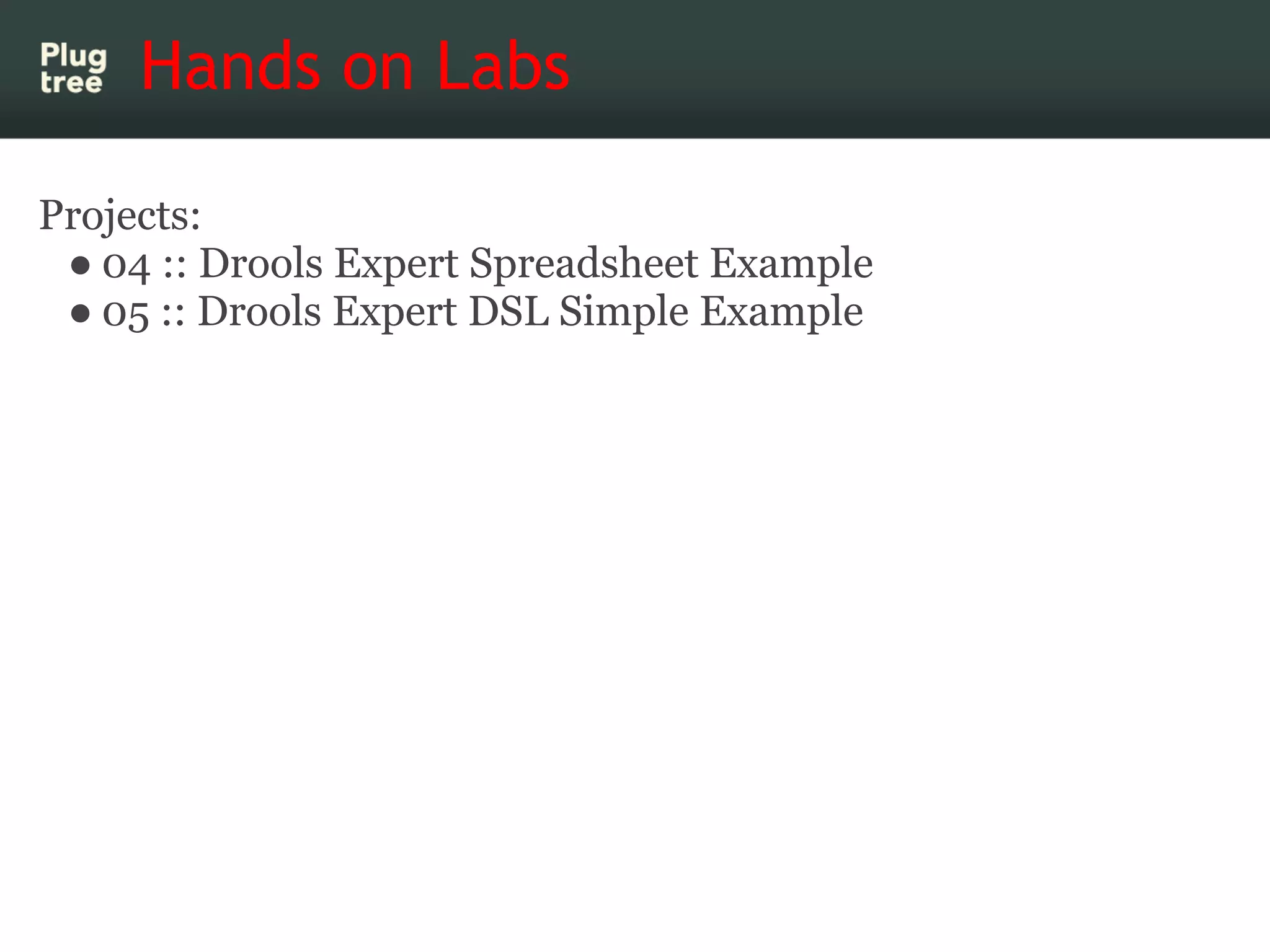 Hands on Labs

Projects:
 ● 04 :: Drools Expert Spreadsheet Example
 ● 05 :: Drools Expert DSL Simple Example
 