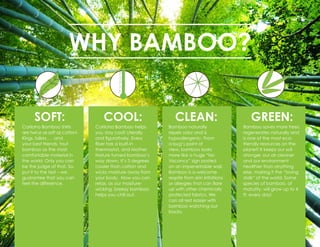 SOFT:
Cariloha Bamboo shirts
are twice as soft as cotton!
Kings, tailors . . . and
your best friends, tout
bamboo as the most
comfortable material in
the world. Only you can
be the judge of that. So,
put it to the test – we
guarantee that you can
feel the difference.
COOL:
Cariloha Bamboo helps
you stay cool! Literally
and figuratively. Every
fiber has a built-in
thermostat, and Mother
Nature turned bamboo’s
way down. It’s 3 degrees
cooler than cotton and
wicks moisture away from
your body. Now you can
relax, as our moisture-
wicking, breezy bamboo
helps you chill out.
CLEAN:
Bamboo naturally
repels odor and is
hypoallergenic. From
a bug’s point of
view, bamboo looks
more like a huge “No
Vacancy” sign posted
on an impenetrable wall.
Bamboo is a welcome
respite from skin irritations
or allergies that can flare
up with other chemically
protected fabrics. We
can all rest easier with
bamboo watching our
backs.
GREEN:
Bamboo saves more trees,
regenerates naturally and
is one of the most eco-
friendly resources on the
planet! It keeps our soil
stronger, our air cleaner
and our environment
healthier than anything
else, making it the “loving
stalk” of the world. Some
species of bamboo, at
maturity, will grow up to 4
ft. every day!
WHY BAMBOO?
 