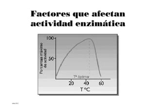 Factores que afectan
           actividad enzimática




mbm/2012
 