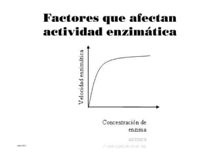 Factores que afectan
           actividad enzimática




mbm/2012
 