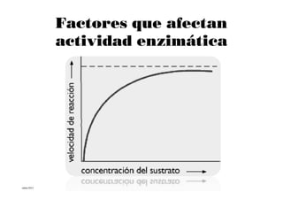 Factores que afectan
           actividad enzimática




mbm/2012
 