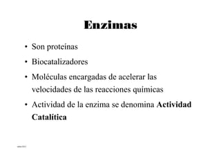 Enzimas
      • Son proteínas
      • Biocatalizadores
      • Moléculas encargadas de acelerar las
        velocidades de las reacciones químicas
      • Actividad de la enzima se denomina Actividad
        Catalítica

mbm/2012
 