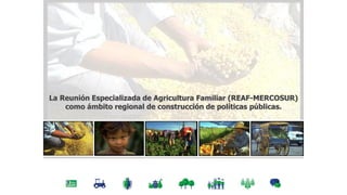 La Reunión Especializada de Agricultura Familiar (REAF-MERCOSUR)
como ámbito regional de construcción de políticas públicas.
 