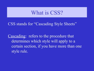 css | PPT