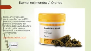 La Spagna: i cannabis social
club
 Sono tra i 400 e i 500
 Forniscono cannabis ai soli soci per un
massimo di 3 grammi al giorno
 Attraverso questo modello di
produzione e distribuzione si ambisce
a ridurre i principali problemi associati
all’uso di stupefacenti
Esempi nel mondo: La Spagna
Dott. Giorgio Gatti
 