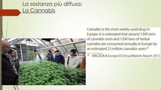 La sostanza più diffusa:
La Cannabis
Dott. Giorgio Gatti
 