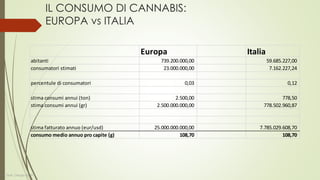 IL CONSUMO DI CANNABIS:
EUROPA vs USA
Stati uniti Europa
abitanti (mio) 314 739
consumatori stimati(mio) 250 23
percentule di consumatori 8% 3%
stima consumi annui (ton) 14,0 2,5
stima fatturato annuo mld(eur/usd) 140,00 25,00
consumo medio annuo pro capite (g) 560,0 108,7
Quantità sequestrata annua 2013 (resina +
foglie) ton 575,00 580,00
sequestro pro capite annuo (gr) 1,83036 0,78
incidenza dei sequestri sul mercato 0,3269% 0,7219%
Dott. Giorgio Gatti
 