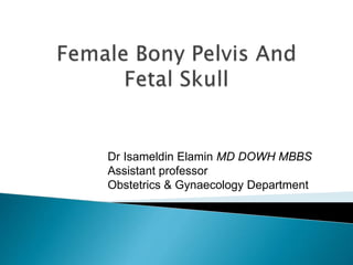 Dr Isameldin Elamin MD DOWH MBBS
Assistant professor
Obstetrics & Gynaecology Department
 