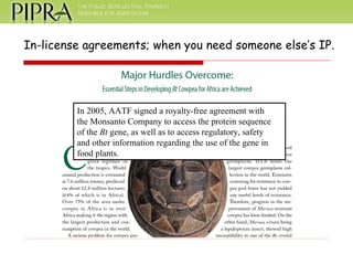 In 2005, AATF signed a royalty-free agreement with the Monsanto Company to access the protein sequence of the  Bt  gene, as well as to access regulatory, safety and other information regarding the use of the gene in food plants. In-license agreements; when you need someone else’s IP. 