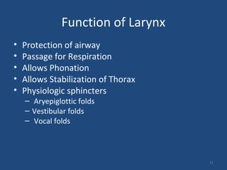 11
Function of Larynx
• Protection of airway
• Passage for Respiration
• Allows Phonation
• Allows Stabilization of Thorax
• Physiologic sphincters
– Aryepiglottic folds
– Vestibular folds
– Vocal folds
 