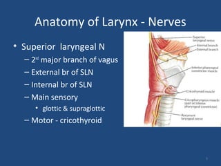 • Superior laryngeal N
– 2nd
major branch of vagus
– External br of SLN
– Internal br of SLN
– Main sensory
• glottic & supraglottic
– Motor - cricothyroid
Anatomy of Larynx - Nerves
5
 