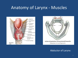 8
Anatomy of Larynx - Muscles
Abductor of Larynx:
 