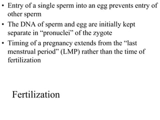 Fertilization
• Entry of a single sperm into an egg prevents entry of
other sperm
• The DNA of sperm and egg are initially kept
separate in “pronuclei” of the zygote
• Timing of a pregnancy extends from the “last
menstrual period” (LMP) rather than the time of
fertilization
 