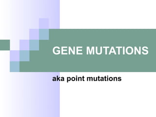 GENE MUTATIONS

aka point mutations
 