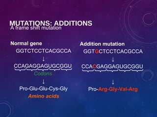 Gene Mutations | PPT