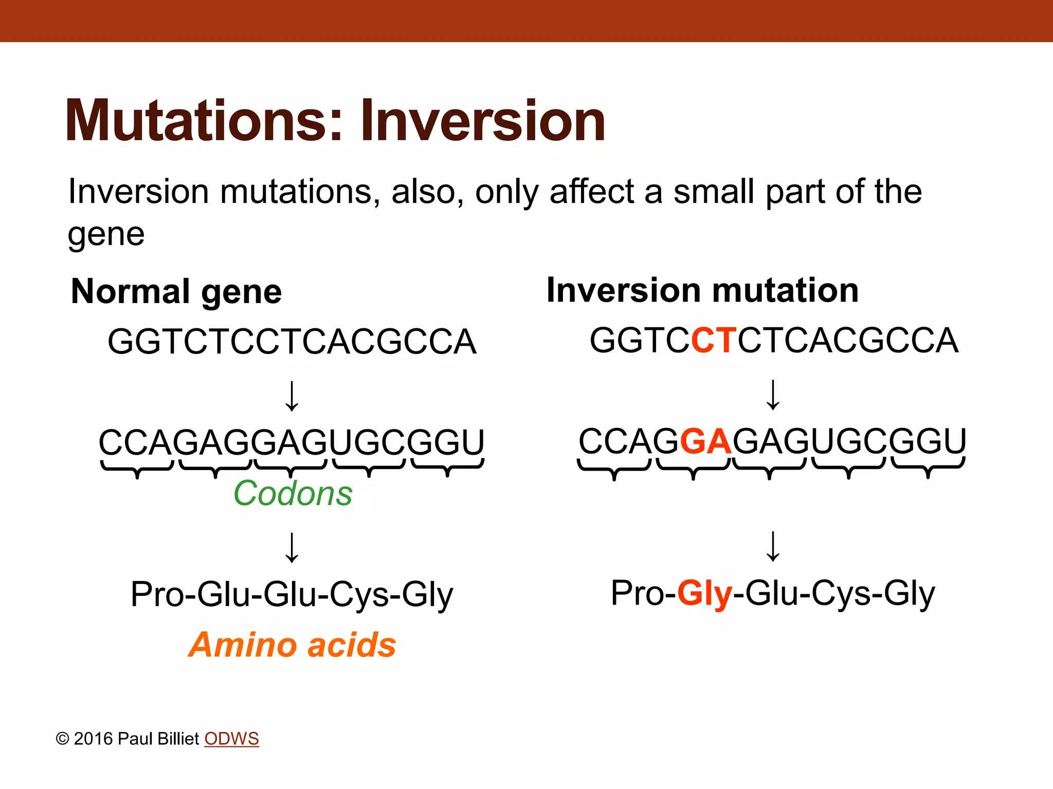 GENE MUTATIONS.ppt
