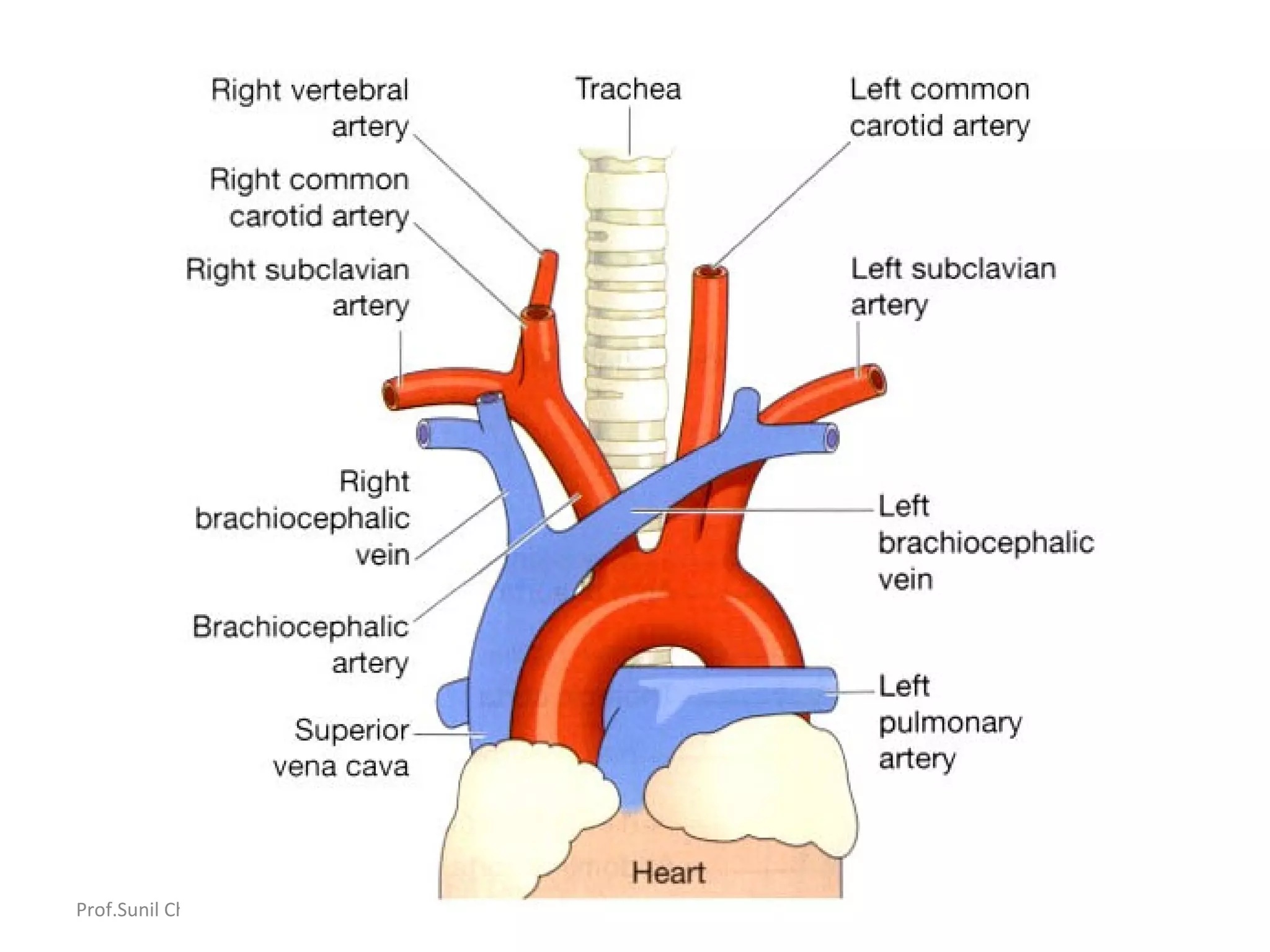 Prof.Sunil Chavan Prin.K.M.Kundnani Pharmacy Polytechnic
 