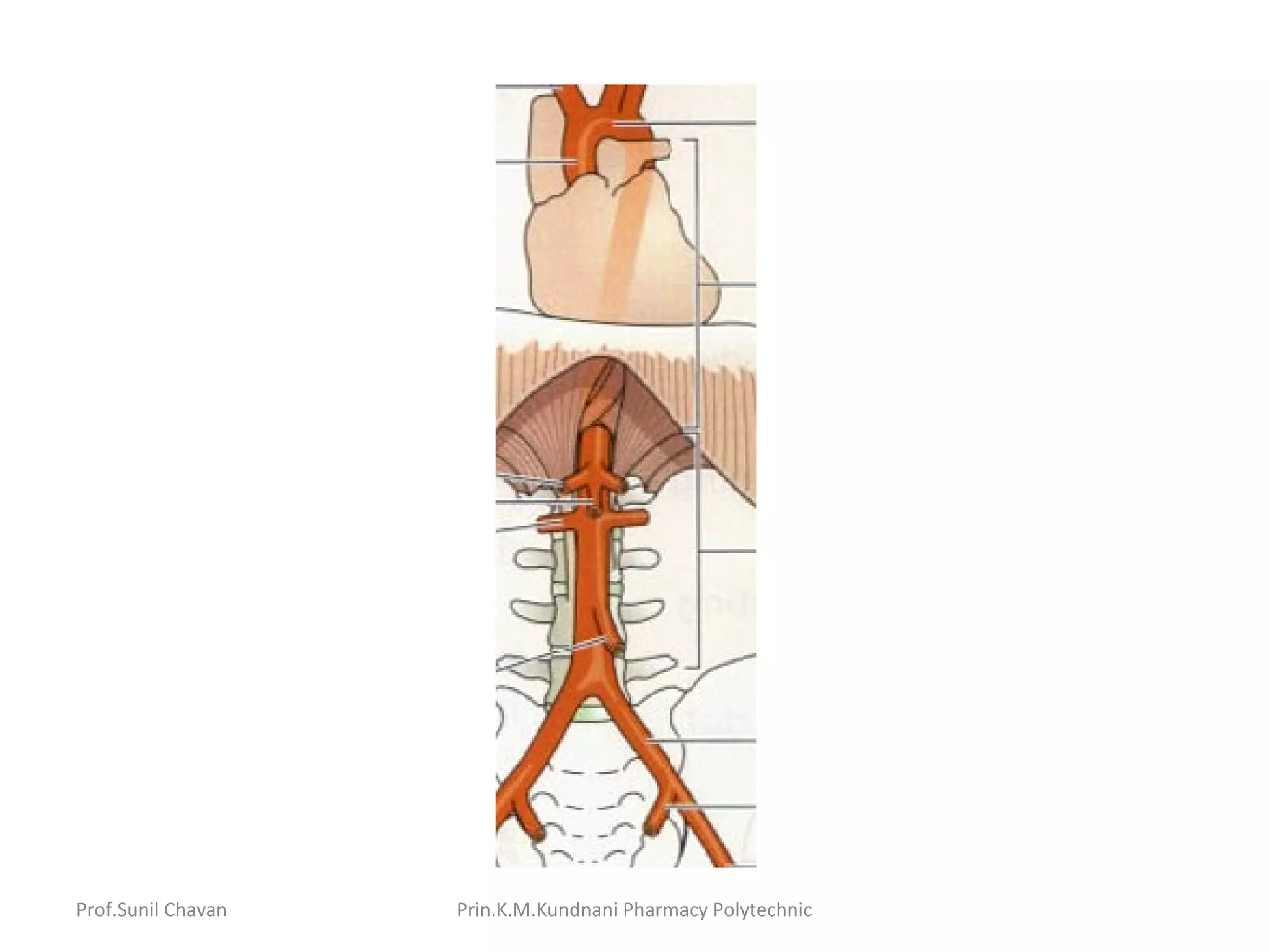 Prof.Sunil Chavan Prin.K.M.Kundnani Pharmacy Polytechnic
 