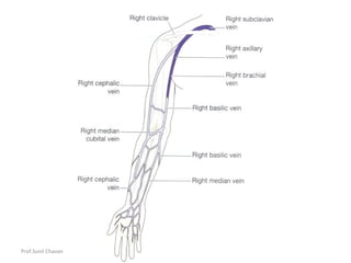 Prof.Sunil Chavan Prin.K.M.Kundnani Pharmacy Polytechnic
 