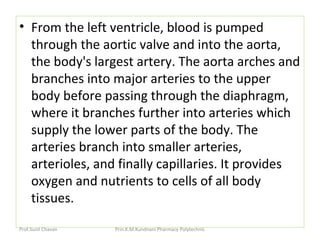 • From the left ventricle, blood is pumped
through the aortic valve and into the aorta,
the body's largest artery. The aorta arches and
branches into major arteries to the upper
body before passing through the diaphragm,
where it branches further into arteries which
supply the lower parts of the body. The
arteries branch into smaller arteries,
arterioles, and finally capillaries. It provides
oxygen and nutrients to cells of all body
tissues.
Prof.Sunil Chavan Prin.K.M.Kundnani Pharmacy Polytechnic
 