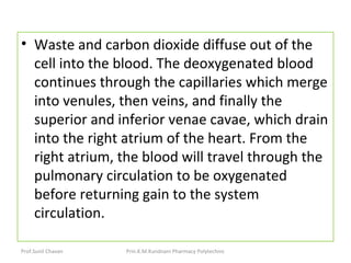 • Waste and carbon dioxide diffuse out of the
cell into the blood. The deoxygenated blood
continues through the capillaries which merge
into venules, then veins, and finally the
superior and inferior venae cavae, which drain
into the right atrium of the heart. From the
right atrium, the blood will travel through the
pulmonary circulation to be oxygenated
before returning gain to the system
circulation.
Prof.Sunil Chavan Prin.K.M.Kundnani Pharmacy Polytechnic
 