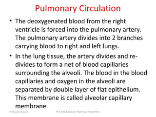 Pulmonary Circulation
• The deoxygenated blood from the right
ventricle is forced into the pulmonary artery.
The pulmonary artery divides into 2 branches
carrying blood to right and left lungs.
• In the lung tissue, the artery divides and re-
divides to form a net of blood capillaries
surrounding the alveoli. The blood in the blood
capillaries and oxygen in the alveoli are
separated by double layer of flat epithelium.
This membrane is called alveolar capillary
membrane.
Prof.Sunil Chavan Prin.K.M.Kundnani Pharmacy Polytechnic
 