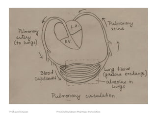 Prof.Sunil Chavan Prin.K.M.Kundnani Pharmacy Polytechnic
 