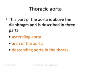 Prof.Sunil Chavan Prin.K.M.Kundnani Pharmacy Polytechnic
Thoracic aorta
• This part of the aorta is above the
diaphragm and is described in three
parts:
• ascending aorta
• arch of the aorta
• descending aorta in the thorax.
 