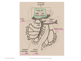 Prof.Sunil Chavan Prin.K.M.Kundnani Pharmacy Polytechnic
 